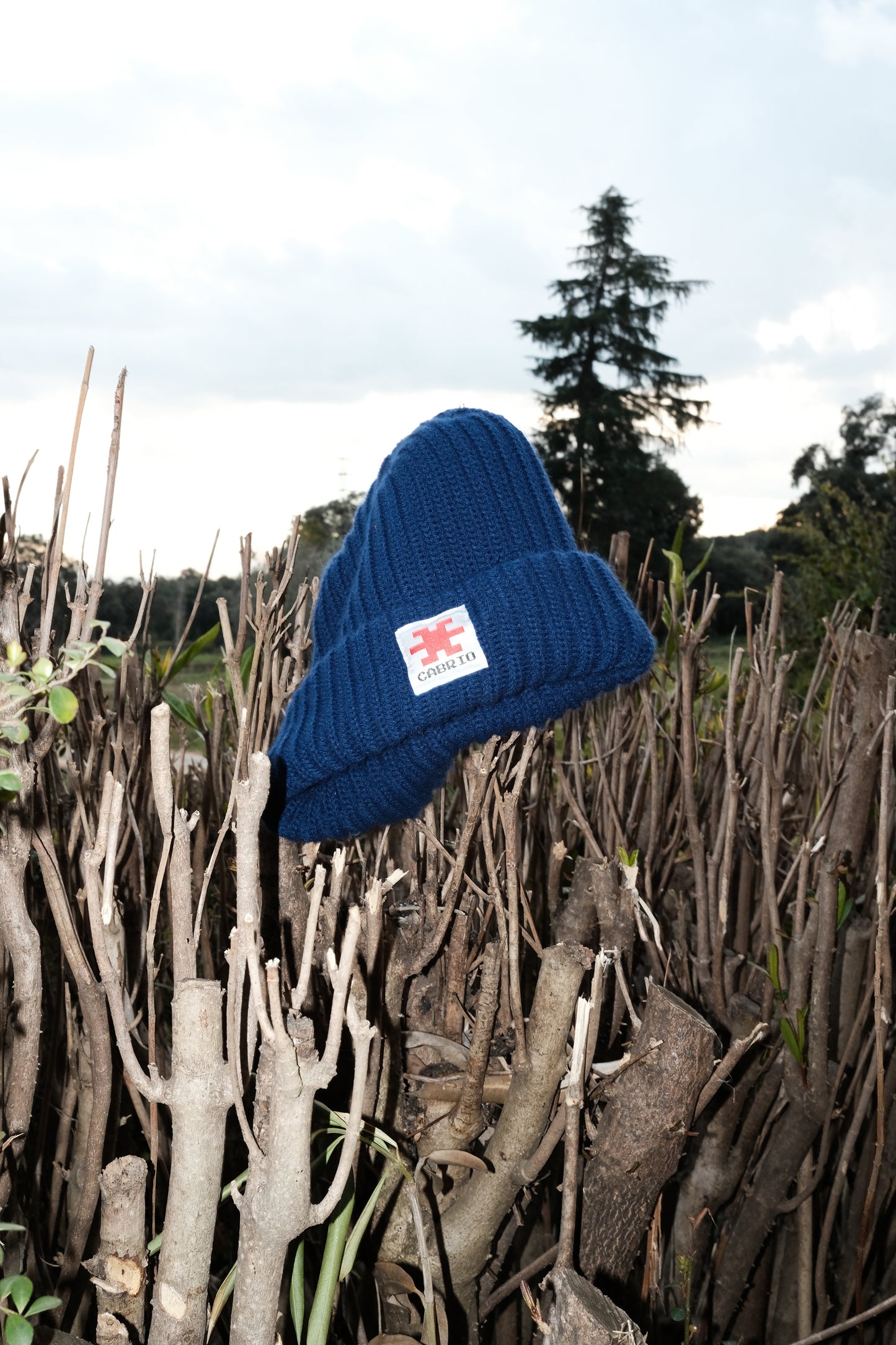 Beanie Navy