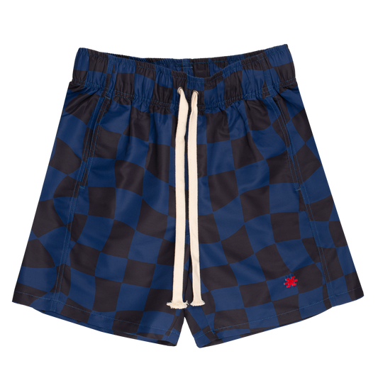 Checks Navy
