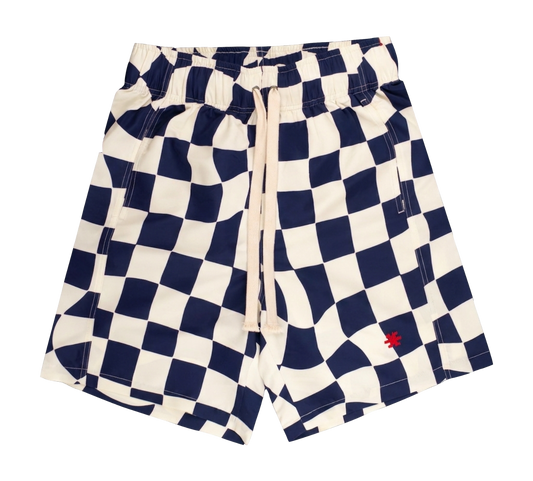 Checks Navy / White